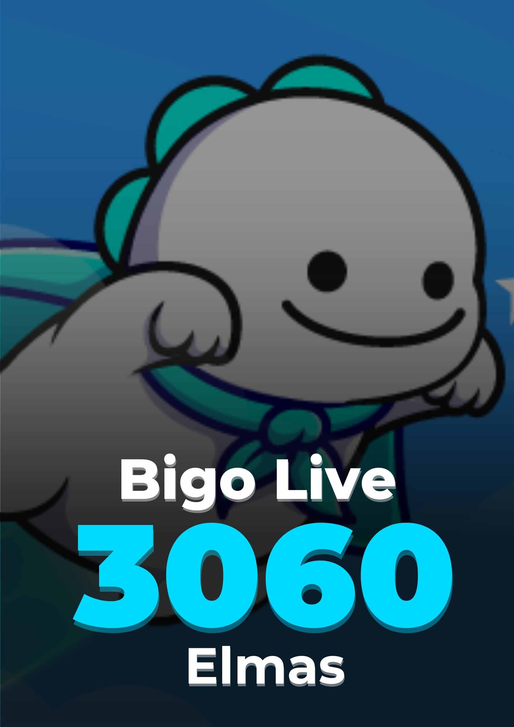 Bigo Live 3060 Elmas