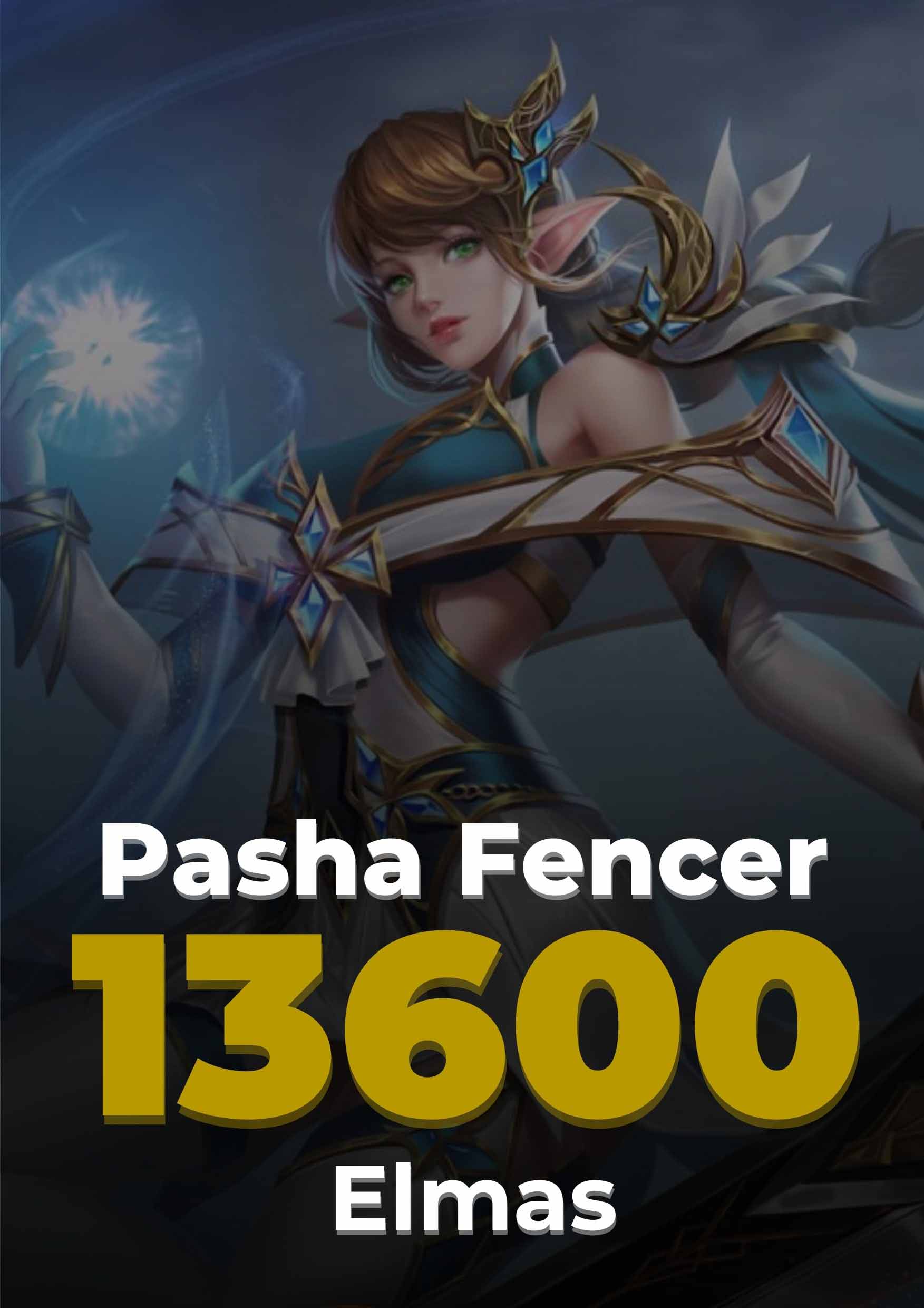 Pasha Fencer 13600 Elmas